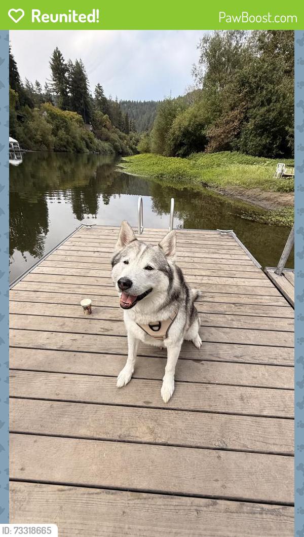 Reunited Male Dog last seen Near Richmond ave San Jose, San Jose, CA 95128