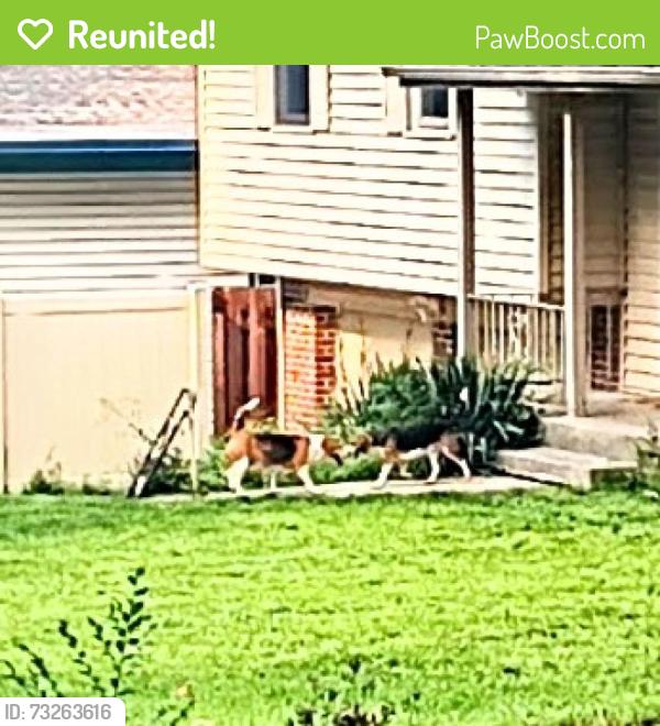 Reunited Unknown Dog last seen Cottonwood Lane and Wirt St., Omaha, NE 68134