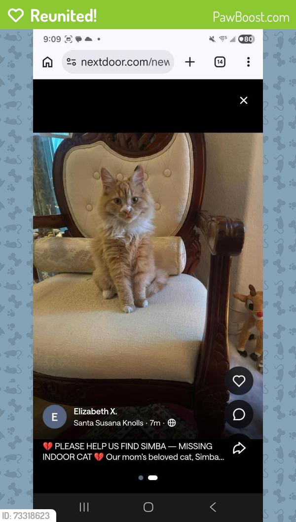 Reunited Female Cat last seen Green Tree, Arrowhead, Golf Course, Victorville, CA 92395