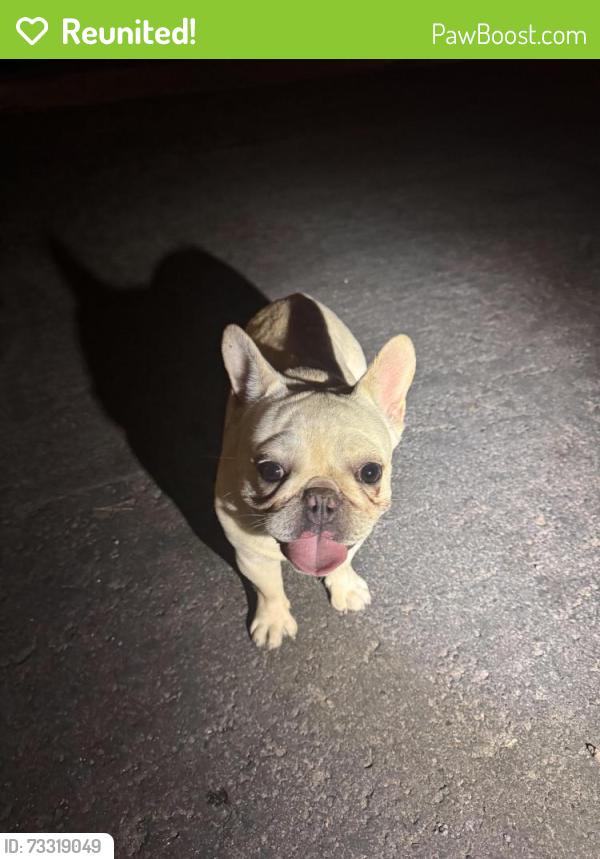 Reunited Male Dog last seen Lamb and Charleston, Las Vegas, NV 89110