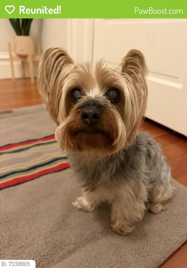 Reunited Male Dog last seen Page and Clayton, San Francisco, CA 94117