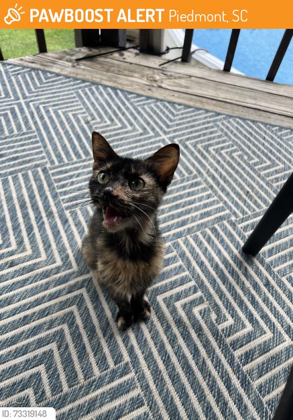 Found/Stray Female Cat last seen Piedmont Hwy, Piedmont, SC 29673