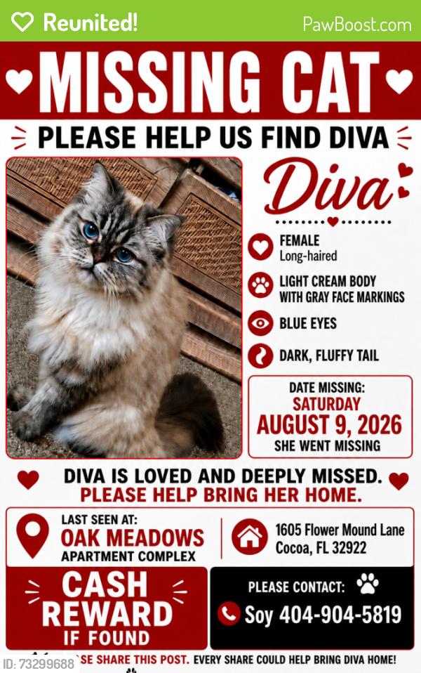 Reunited Female Cat last seen Oak Meadows apmts, Cocoa, FL 32922