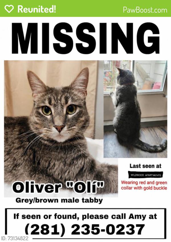 Reunited Male Cat last seen Near Wildwood Park Rd, Richmond, TX 77469, USA, Richmond, TX 77469
