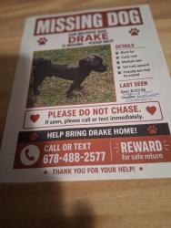 Lost Male Dog last seen Saybrook and Wright Circle, Clayton County, GA 30236