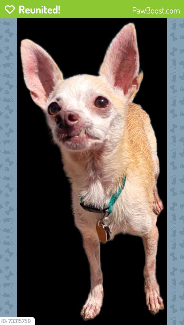 Reunited Male Dog last seen Mableton, Mableton, GA 30126