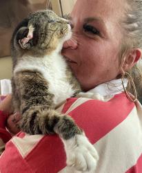 Reunited Female Cat last seen Western Ave, Albany, NY 12208