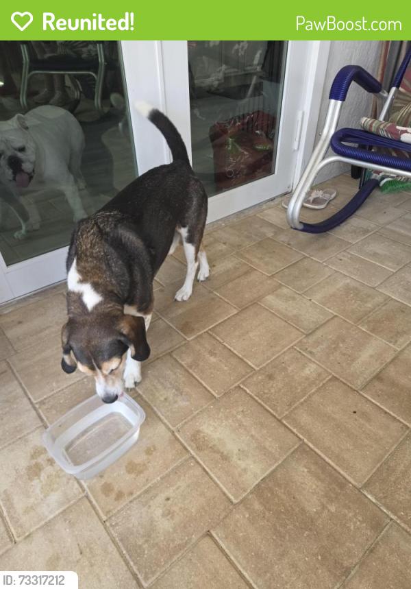 Reunited Male Dog last seen near waterpark, Cape Coral, FL 33990