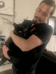Reunited Female Cat last seen Mcdonalds, Los Angeles, CA 91402