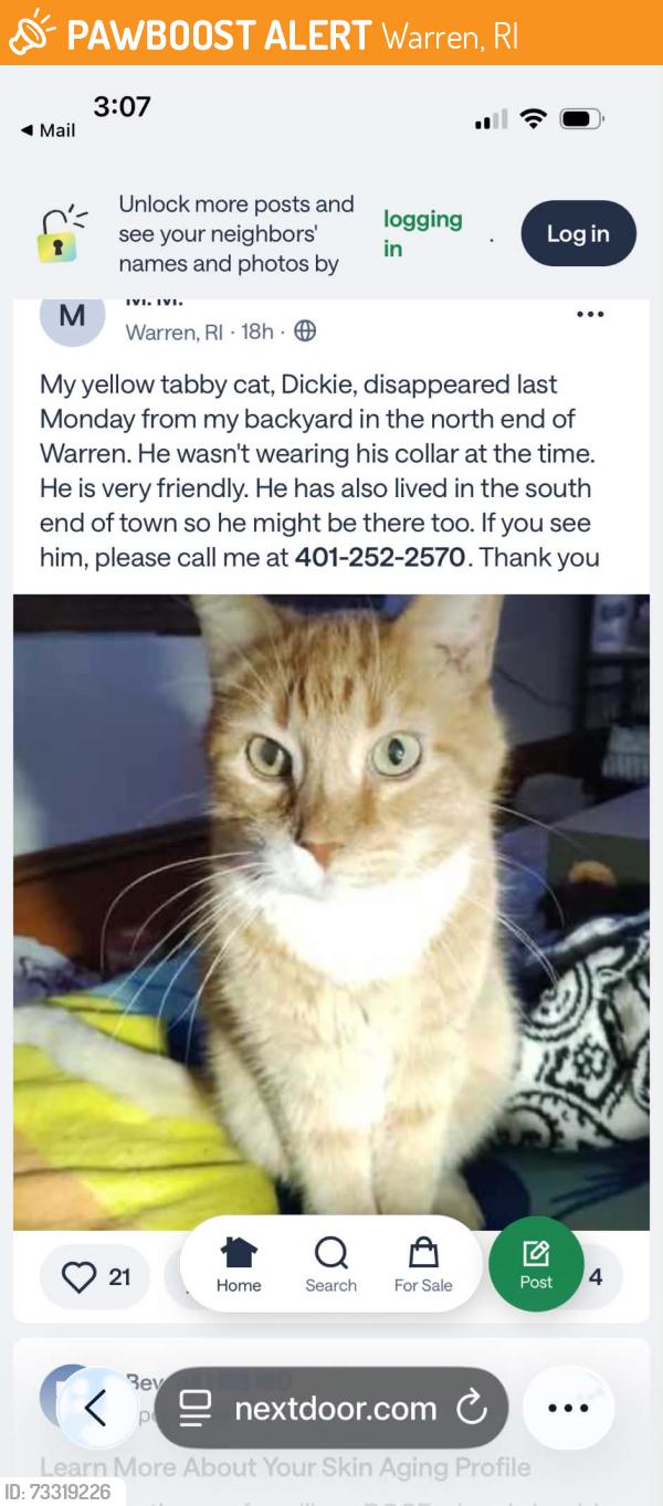 Found/Stray Male Cat last seen Bike path, Warren, Warren, RI 02885
