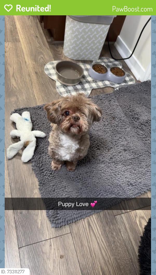 Reunited Female Dog last seen Country lane/Baltimore Pike, Hanover, PA 17331