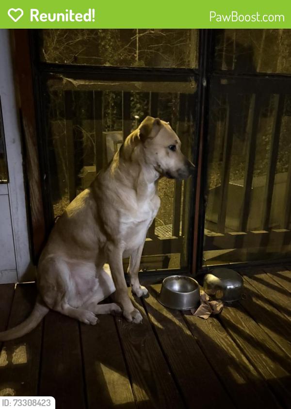 Reunited Male Dog last seen Oak grove road, Bell Rd and oak grove volunteer fire department, Kings Mountain, NC 28086