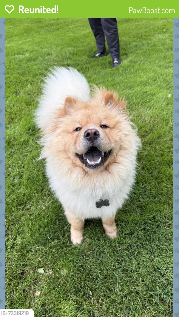 Reunited Male Dog last seen Greensward, New Albany, OH 43054