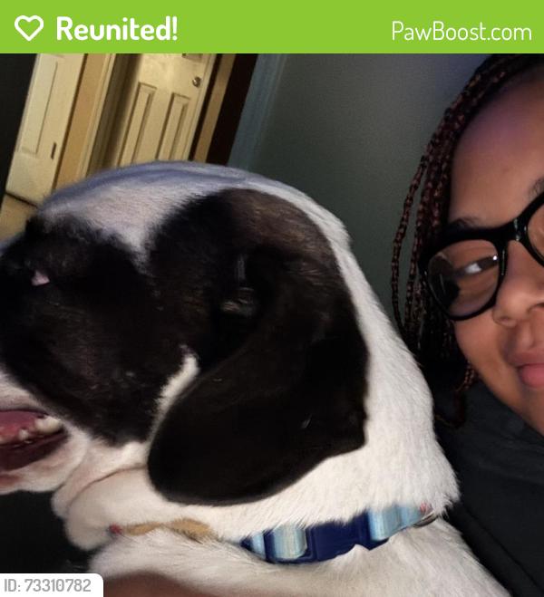 Reunited Male Dog last seen ridgedale dr, Snellville, GA 30078