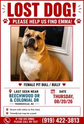 Lost Female Dog last seen Colonial Dr youngsville, Youngsville, NC 27596
