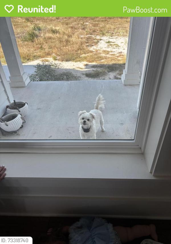 Reunited Female Dog last seen Trail rock drive and old river crossing, Johnson City, TX 78636