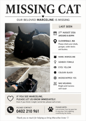 Reunited Female Cat last seen Orpington st, Cloverdale, WA 6105