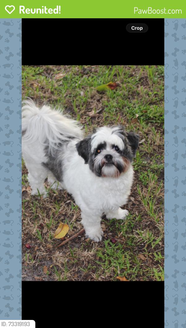 Reunited Female Dog last seen Waco and Babcock, Palm Bay, FL 32909