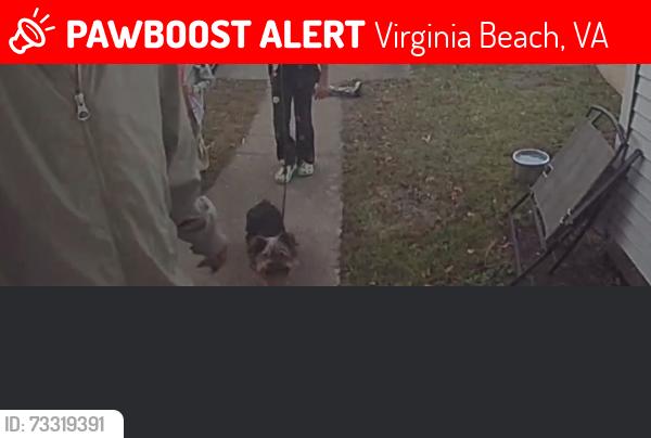 Lost Male Dog last seen Salem area, Virginia Beach, VA 22464