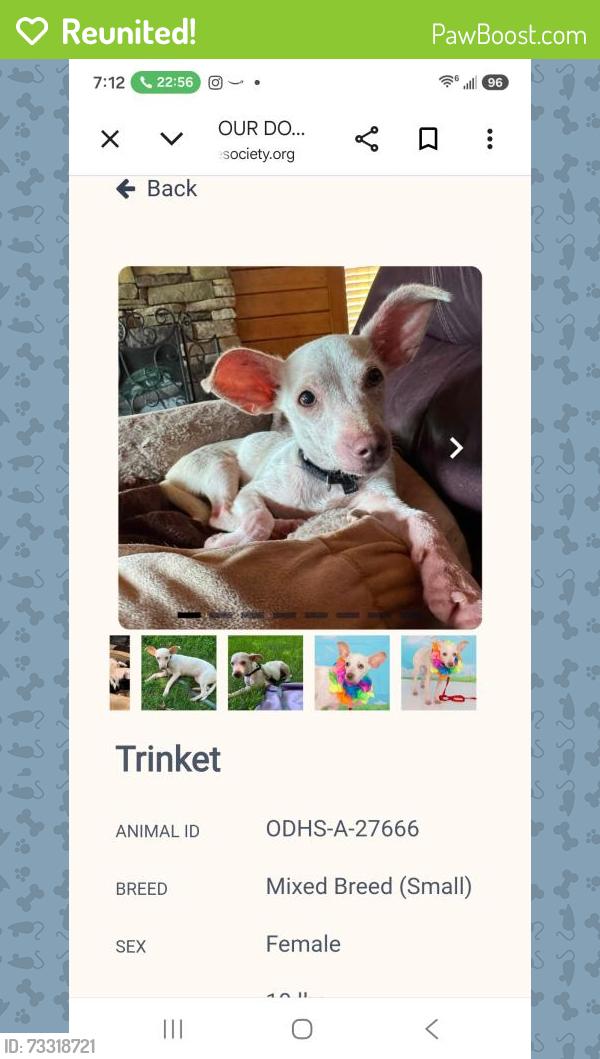 Reunited Female Dog last seen Corbin St, Richmond, VA 23222