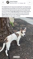 Reunited Male Dog last seen Gas station 76 San Jose 95118, San Jose, CA 95118