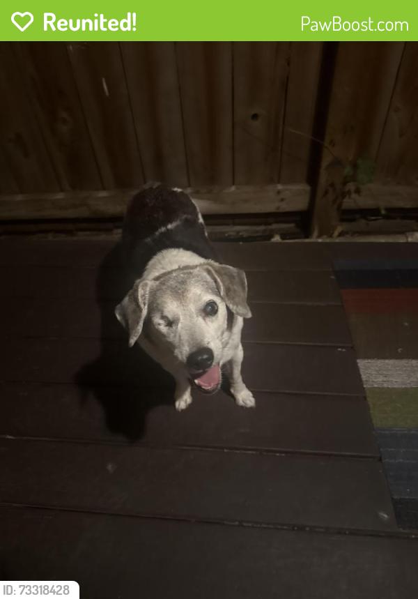 Reunited Unknown Dog last seen Ed’s pharmacy, Missouri City, TX 77459
