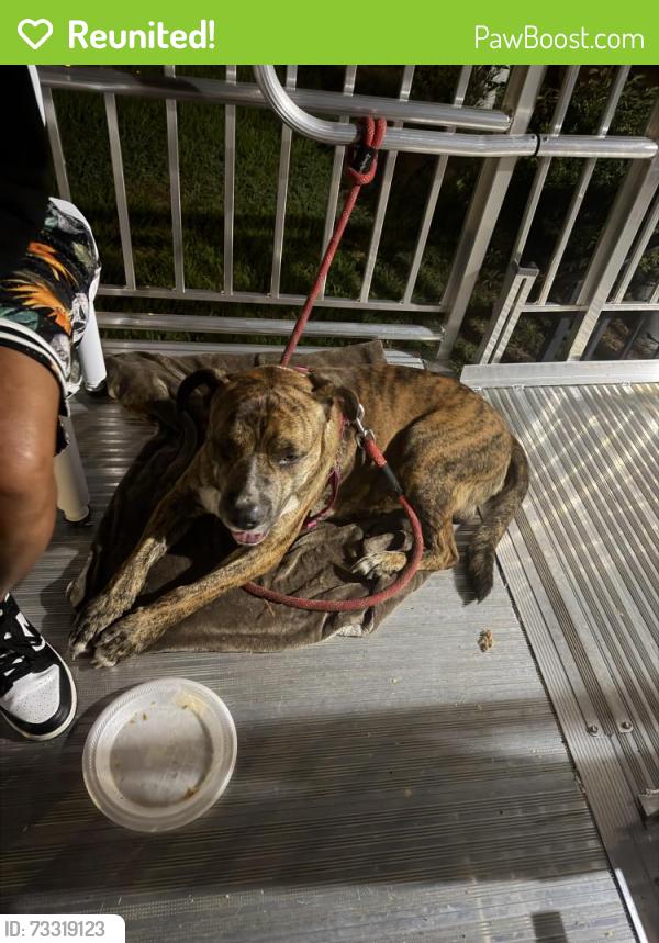 Reunited Male Dog last seen Kingley Ones and Hopkins store, Richmond, VA 23234