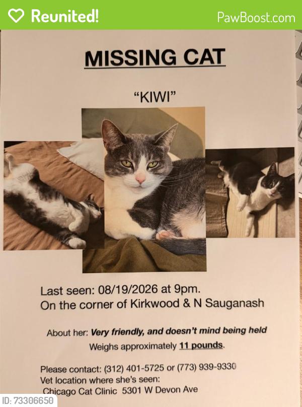 Reunited Female Cat last seen Near N Kirkwood Ave, Chicago, IL 60646, USA, Chicago, IL 60646