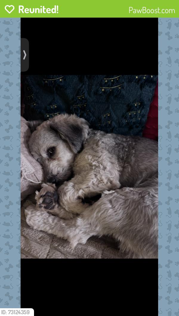 Reunited Male Dog last seen Near west, Mico, TX 78056