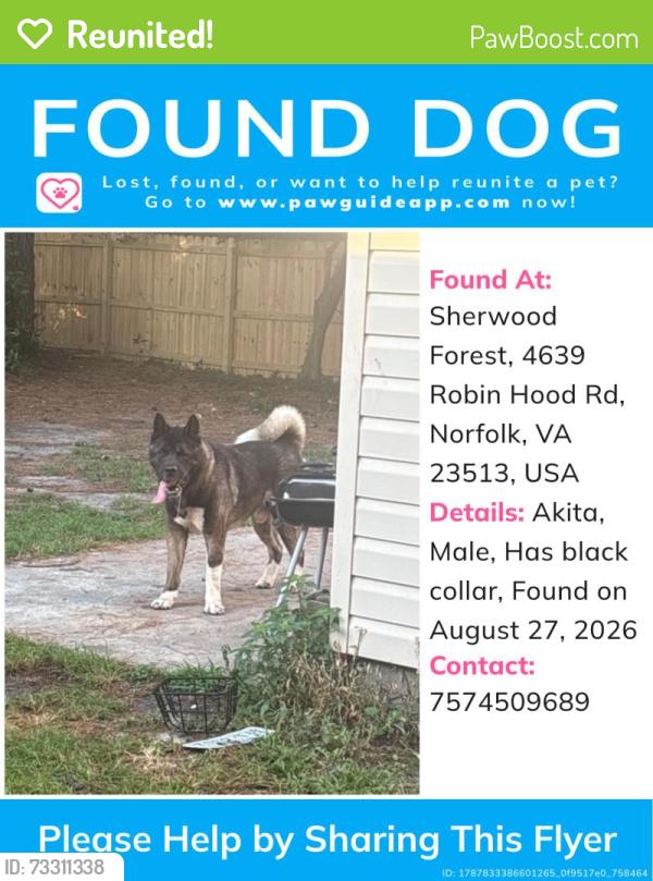 Reunited Male Dog last seen Robin Hood road Right by Sherwood Forest Elementary, Norfolk, VA 23513