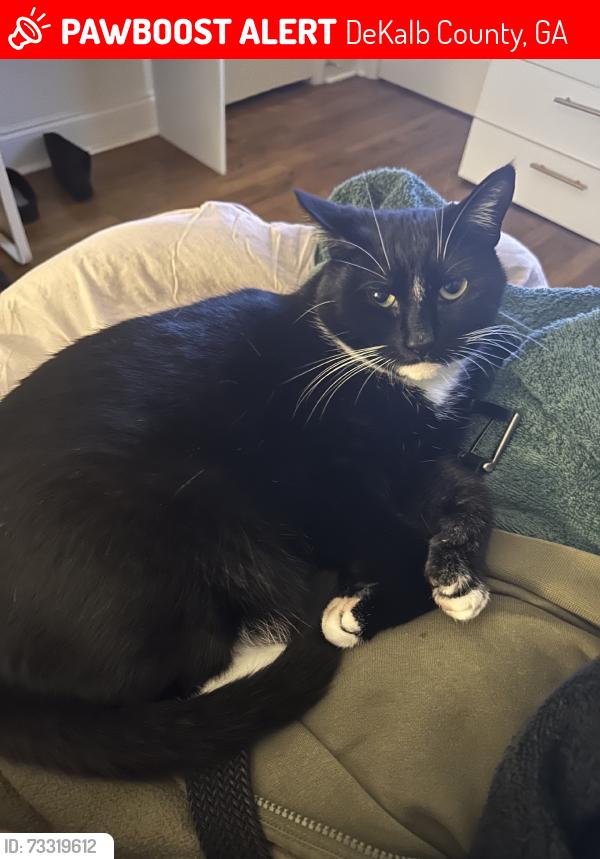 Lost Male Cat last seen On the road with the Deshon Animal hosp, DeKalb County, GA 30087