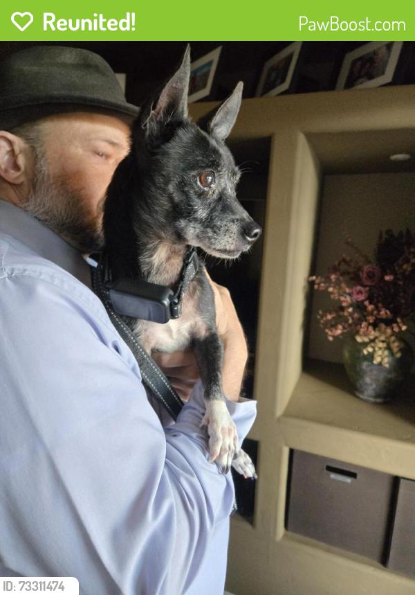Reunited Male Dog last seen Near E Rose Hill St, Tucson, AZ 85747