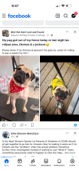 Lost Male Dog last seen Las milpas, Pharr, TX 78577