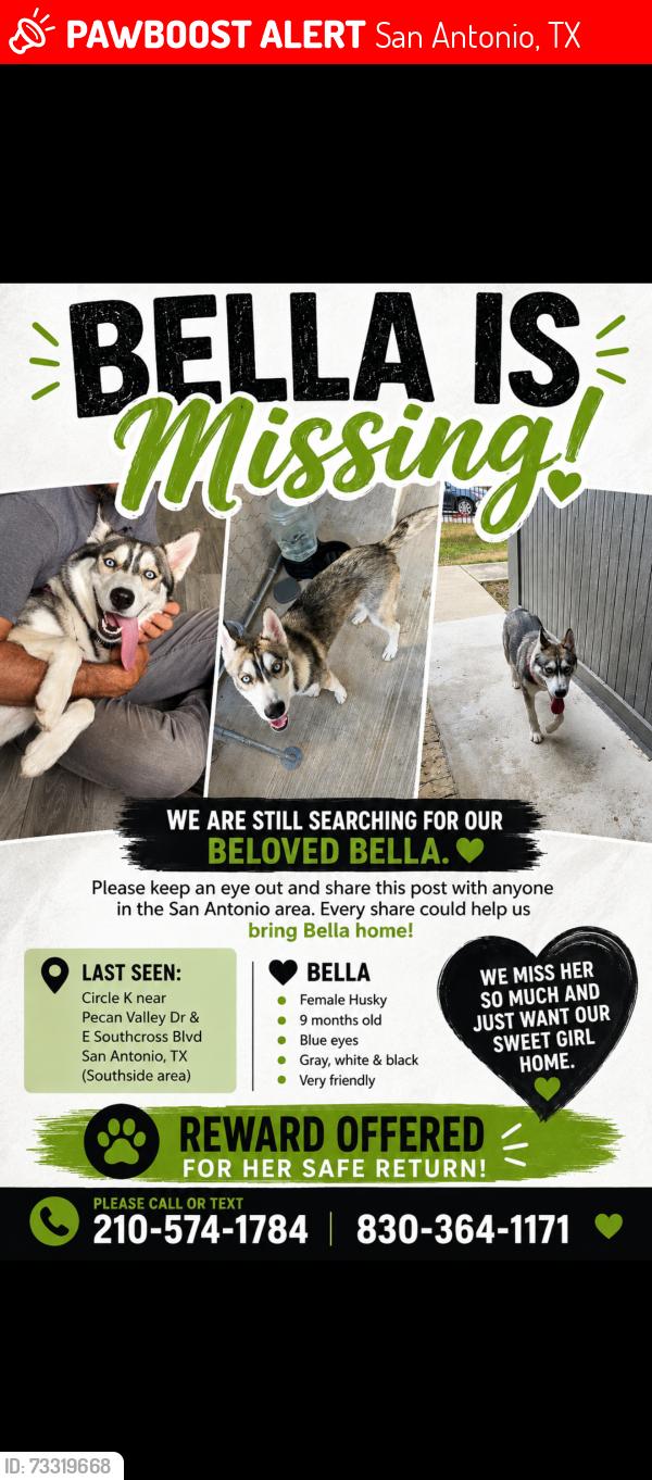 Lost Female Dog last seen Pecan valley and E Southcross blvd, San Antonio, TX 78223