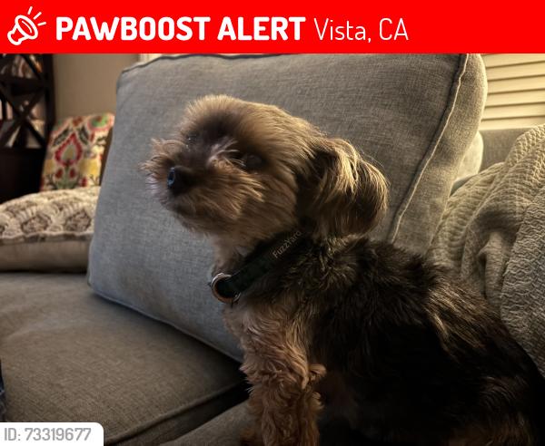 Lost Male Dog last seen Crystal Ridge Dr., Rancho Buena Vista High School, Vista, CA 92081