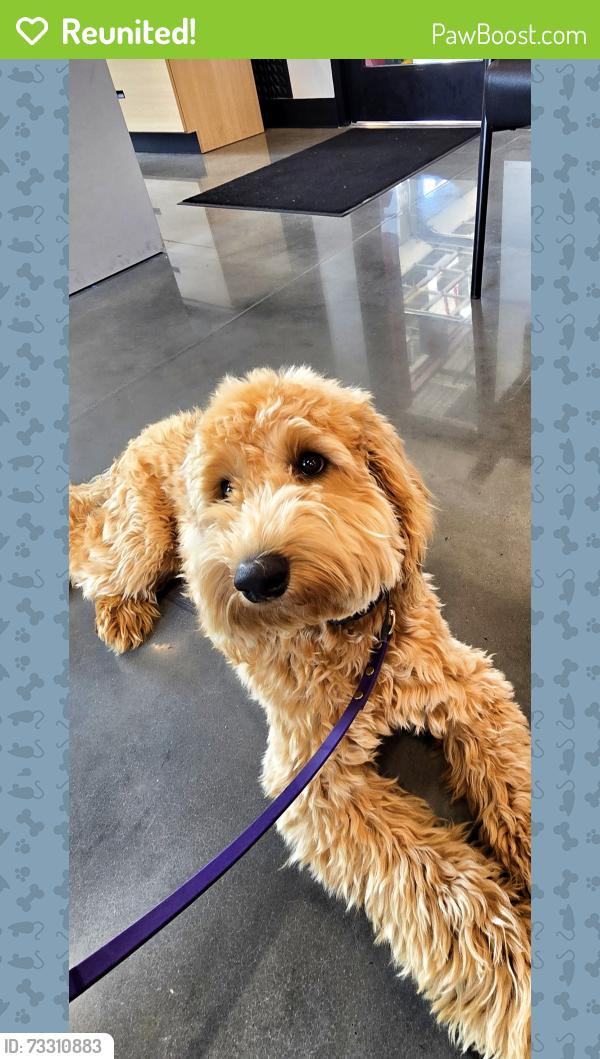 Reunited Male Dog last seen Near Ocoee Winery running towards Apple Valley Store, Cleveland, TN 37311
