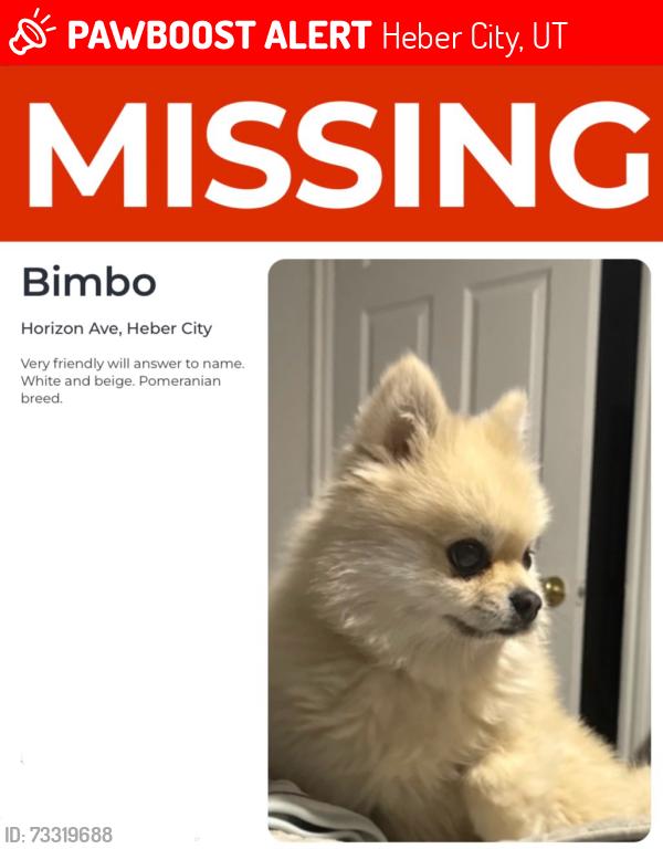 Lost Male Dog last seen Horizon ave Heber city Utah 84032, Heber City, UT 84032