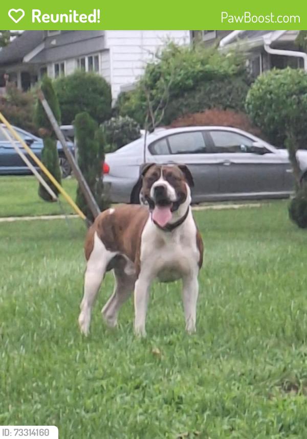 Reunited Male Dog last seen Elwood Smith Park, Rockville, MD 20852