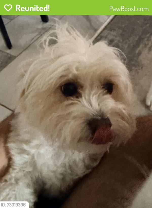 Reunited Female Dog last seen halifax dr, Fayetteville, NC 28303