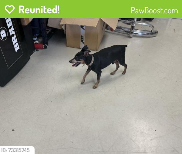Reunited Male Dog last seen Mercedes Benz of Miami, Miami, FL 33169