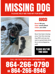 Lost Male Dog last seen Irby, Spartanburg County, SC 29301