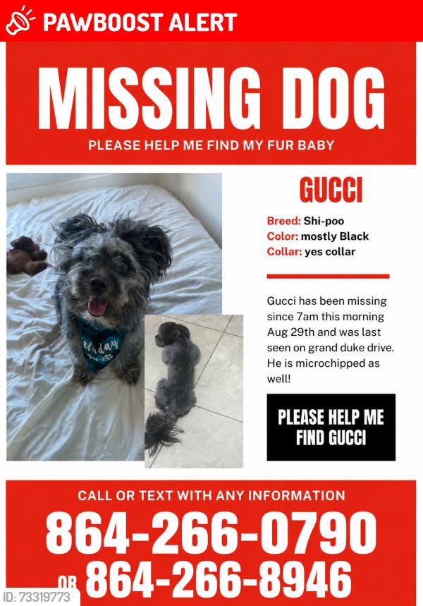 Lost Male Dog last seen Irby, Spartanburg County, SC 29301