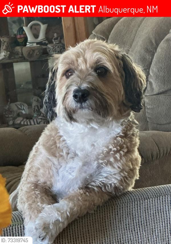 Lost Male Dog last seen Osuna and Vista Del Norte NE, Albuquerque, NM 87113