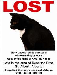 Reunited Male Cat last seen Near Dennison Dr, St. Albert, AB T8N 6G7