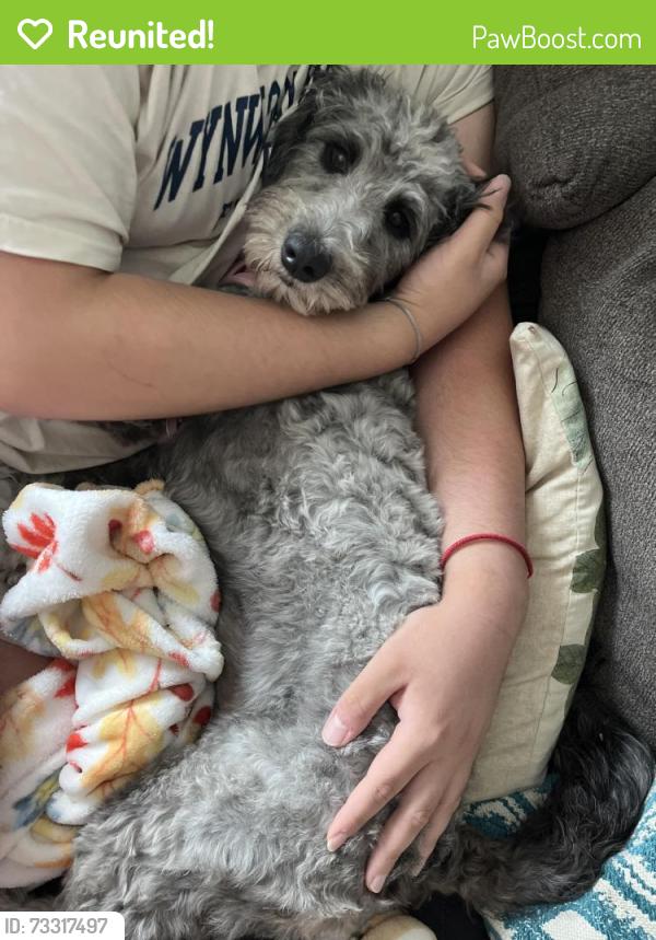 Reunited Female Dog last seen Near Holden Court, Suffolk, VA 23434