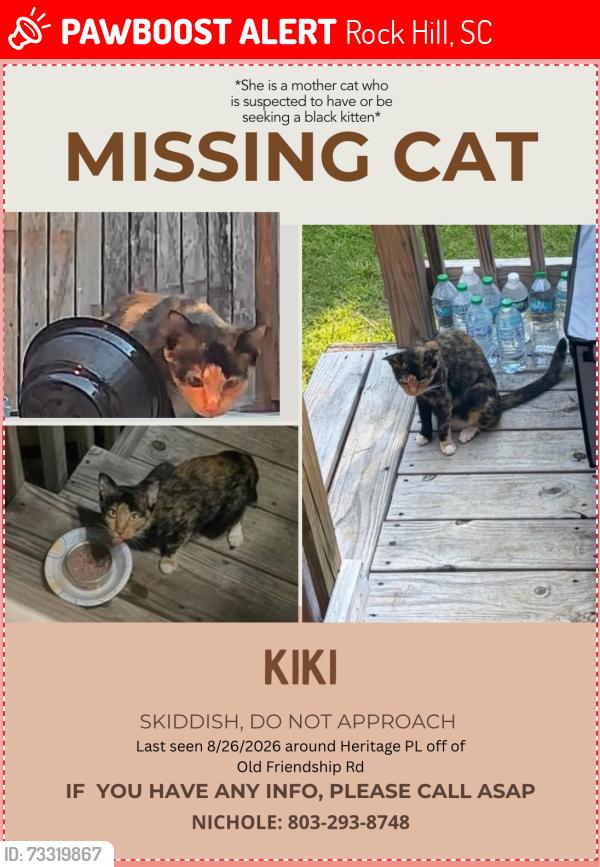 Lost Female Cat last seen Old friendship rd, Rock Hill, SC 29730