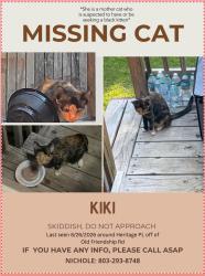 Lost Female Cat last seen Old friendship rd, Rock Hill, SC 29730