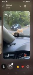 Lost Unknown Dog last seen Robinson Church road. And Decatur, Charlotte, NC 28215
