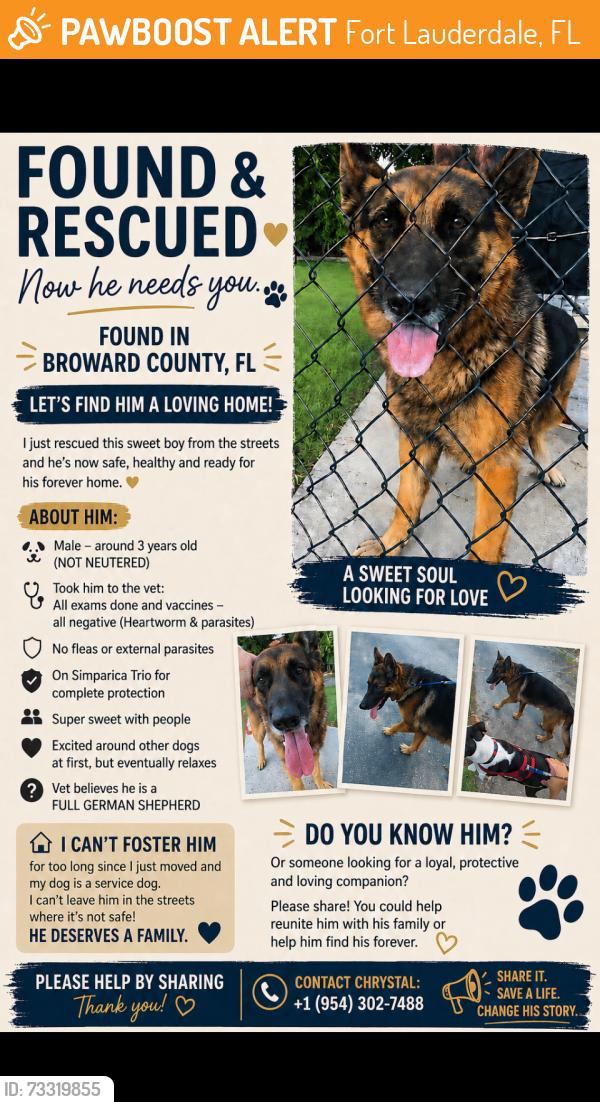 Found/Stray Male Dog last seen Sunrise Blvdand Federal Hwy by Holiday Park, Fort Lauderdale, FL 33304