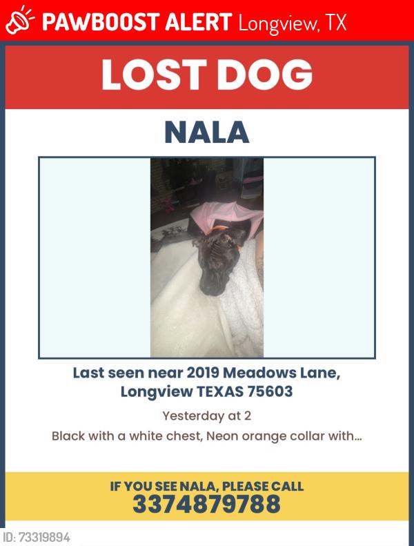 Lost Female Dog last seen Rolling meadows pet, Longview, TX 75603